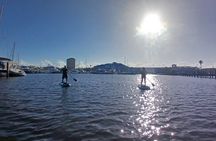 Dolphin and Manatee Paddleboard Adventure in Daytona