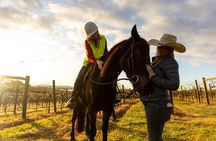 Sunrise Horse Ride in Hunter Valley