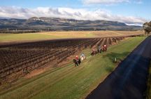 Sunrise Horse Ride in Hunter Valley