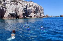 Isla Espiritu Santo and Balandra All Inclusive Tour