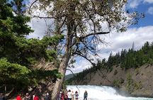 Moraine Lake & Lake Louise Tours from Canmore and Banff