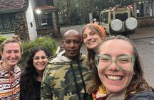 Nairobi National Park Day Safari With Dinner Option