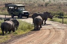Nairobi National Park Day Safari With Dinner Option