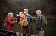 Private Stonehenge Heritage Car Tour from Historic Bath