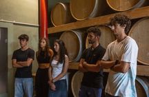 Wine Tour of Amarone della Valpolicella