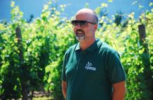 Wine Tasting and Guided Visit to the Vineyard and Cellar in S. Maria Imbaro