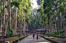 Private Tour Sangeh Monkey Forest Leke Leke and Jatiluwih