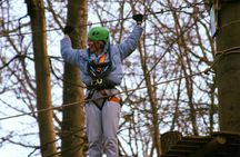 Tree Tops High Ropes at Ashton Court