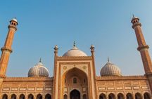 Private Full Day Guided Tour of Old and New Delhi by AC Car
