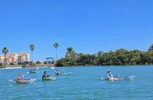 Clear Kayak Adventure on Clearwater Beach