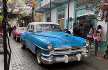 Puerto Plata Tour and Ocean World Adventure Park