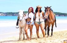 Horseback Riding Puerto Plata: Special for Cruise Ships