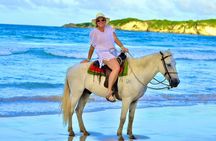 Horseback Riding Puerto Plata: Special for Cruise Ships