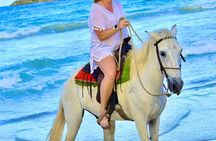 Horseback Riding Puerto Plata: Special for Cruise Ships