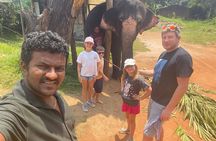 5 Day Sri Lanka Tour Kandy Nuwara Eliya Sigiriya and Colombo