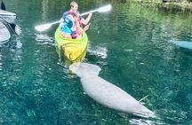 Silver Springs Clear Kayak Tour – Manatees & Monkeys Tour
