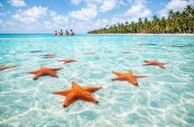 Saona Island Speedboat Tour from Punta Cana + Natural Pool