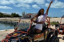 Famous East Island UTV Tour