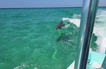 Private Crab Island, Snorkeling, and Dolphin Watching Adventure