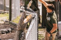 Everglades from Miami: Airboat, Alligators & Farm – Small Group