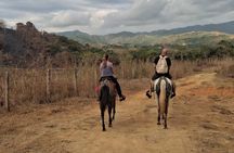 Guided Horseback Riding Tours on Jacó Beach Costa Rica