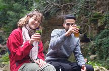 Akchour Waterfalls or God’s Bridge Half-Day Trip from Chefchaouen