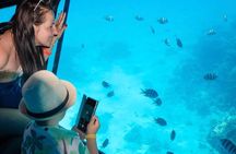 Sharm El Sheikh Sea Scope Submarine Boat Tour &Coral Reef Viewing