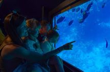 Sharm El Sheikh Sea Scope Submarine Boat Tour &Coral Reef Viewing