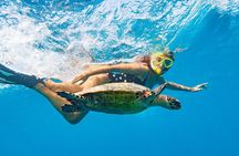 Oahu: Full-Day Circle Island Tour with Beach Stop & Free Wi-Fi
