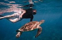 3 Day Komodo Adventure Dragons Snorkeling and Island Beauty