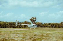 Sirromet Winery + CBD & Mt Coot-tha Private Helicopter Experience