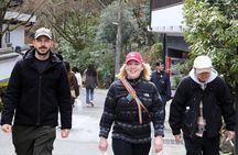 Kyoto Private Hiking Tour: Ancient Trails of Kurama and Kibune