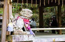 Kyoto Private Hiking Tour: Ancient Trails of Kurama and Kibune