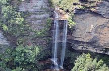Blue Mountains Bushwalk and Wildlife Truly Private Tour