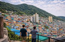 Busan Private Custom Tour with a Local: Highlights & Gems