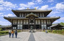 Nara Highlights Private Walking Tour with Local Guide