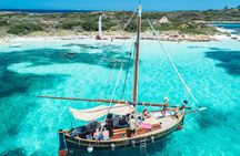 Half-Day Tour Tavolara & Molara