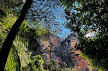 Blue Mountains Bushwalk and Wildlife Truly Private Tour