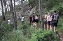 Desde Valencia: Aguas termales de Montanejos y Cuevas San Jose