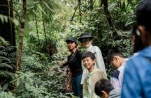 Munduk: All-Inclusive Twin Lake Trek, Canoe & Hidden Waterfall