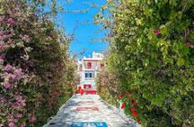 Half Day Private Island Tour with a Local in Mykonos