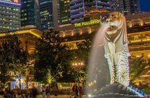 Singapore River Cruise, Night Garden Rhapsody & Spectra w Satay