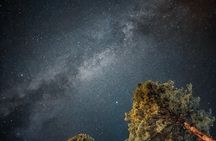 Fairy Meadows Trek & Nanga Parbat Base Camp 6 Day Adventure