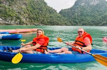 Ha Long Bay Premium Limousine Kayaking and Buffet Day Tour