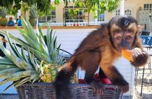 Monkey House VIP Animal Sanctuary Experience