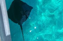 Sarandë: Speedboat Tour to Hidden Bays Sea Caves & Crystal Waters