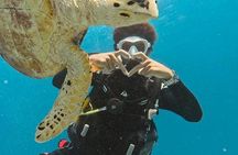 Hurghada Diving & Snorkeling Boat Trip