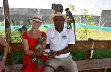 Puerto Plata Horseback Riding and Monkey Adventure Tour