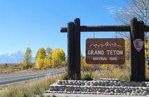 Sunset Wildlife Adventure in Grand Teton National Park