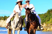 Beach Sunset on Horse Riding in Punta Cana(Private Option)